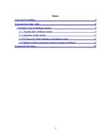 Referāts 'Investīciju riski un to novērtēšanas metodes', 2.