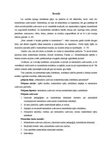 Referāts 'Nestandarta uzdevumi matemātisko spēju attīstīšanai pamatskolā', 3.