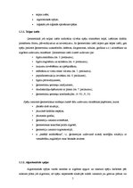 Referāts 'Nestandarta uzdevumi matemātisko spēju attīstīšanai pamatskolā', 7.