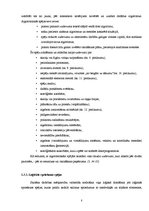 Referāts 'Nestandarta uzdevumi matemātisko spēju attīstīšanai pamatskolā', 8.