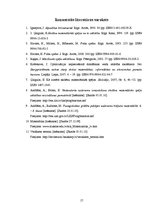 Referāts 'Nestandarta uzdevumi matemātisko spēju attīstīšanai pamatskolā', 17.