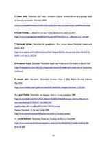 Eseja 'Hasans Nasralla', 20.