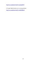 Eseja 'Hasans Nasralla', 24.