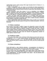 Referāts 'Āgenskalna Valsts ģimnāzijas mācību priekšmeta programmēšanas pamatu realizācija', 10.