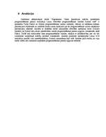 Referāts 'Āgenskalna Valsts ģimnāzijas mācību priekšmeta programmēšanas pamatu realizācija', 36.