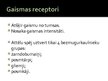 Prezentācija 'Dzīvniekiem raksturīgā redze', 3.