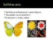 Prezentācija 'Dzīvniekiem raksturīgā redze', 4.
