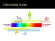 Prezentācija 'Dzīvniekiem raksturīgā redze', 8.