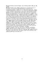 Referāts 'Autoritārisms', 15.