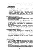 Referāts 'Darba tirgus problēmas Latvijā', 19.