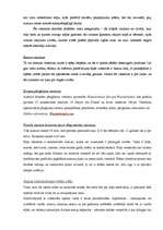 Konspekts 'Savdabīgi viesnīcu tipi', 2.