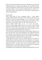 Konspekts 'Savdabīgi viesnīcu tipi', 5.