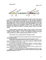 Referāts 'Latvijas nacionālā valūta', 22.