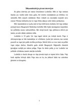 Referāts 'Intervijas analīze', 3.
