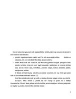 Referāts 'Bērna attīstība pirmsskolas vecumā', 4.