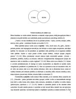 Referāts 'Bērna attīstība pirmsskolas vecumā', 7.