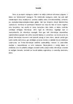 Referāts 'Datorpirātisms', 2.