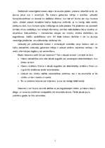 Referāts 'Datorpirātisms', 5.