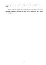 Referāts 'Datorpirātisms', 7.