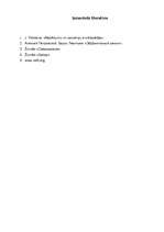 Referāts 'Datorpirātisms', 8.