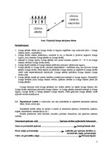 Referāts 'Komercbankas un to salīdzināšana', 15.