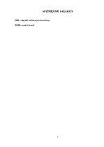 Referāts 'Integrētās mārketinga komunikācijas instrumenti uzņēmuma klientu lojalitātes vei', 7.