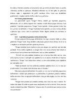 Referāts 'Integrētās mārketinga komunikācijas instrumenti uzņēmuma klientu lojalitātes vei', 28.