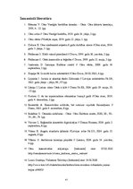 Referāts 'Vidzemes koncertzāle Cēsis', 41.