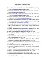 Diplomdarbs 'Inventarizācija, tās organizēšanas kārtība un atspoguļošana SIA "X" grāmatvedībā', 55.