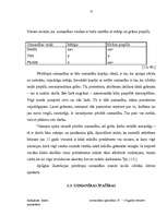 Referāts 'Uzmanības īpatnības 15-18 gadus veciem jauniešiem', 12.