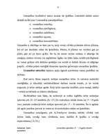 Referāts 'Uzmanības īpatnības 15-18 gadus veciem jauniešiem', 13.