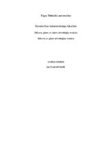 Referāts 'Siltumapgāde', 1.