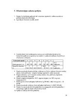 Referāts 'Siltumapgāde', 32.