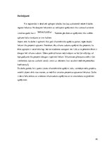 Referāts 'Siltumapgāde', 40.