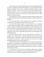 Diplomdarbs 'Uzņēmuma finanšu analīze', 5.