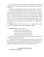 Diplomdarbs 'Uzņēmuma finanšu analīze', 6.