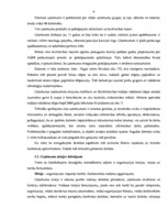 Diplomdarbs 'Uzņēmuma finanšu analīze', 8.