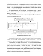 Diplomdarbs 'Uzņēmuma finanšu analīze', 10.