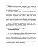 Diplomdarbs 'Uzņēmuma finanšu analīze', 14.