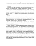 Diplomdarbs 'Uzņēmuma finanšu analīze', 17.