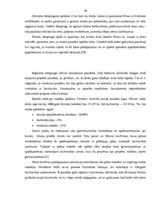 Diplomdarbs 'Uzņēmuma finanšu analīze', 29.