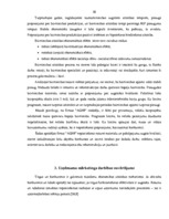 Diplomdarbs 'Uzņēmuma finanšu analīze', 37.