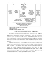 Diplomdarbs 'Uzņēmuma finanšu analīze', 39.