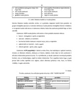 Diplomdarbs 'Uzņēmuma finanšu analīze', 41.