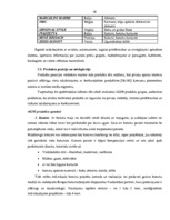 Diplomdarbs 'Uzņēmuma finanšu analīze', 42.