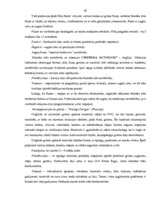 Diplomdarbs 'Uzņēmuma finanšu analīze', 46.