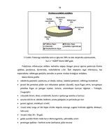 Diplomdarbs 'Uzņēmuma finanšu analīze', 49.