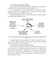 Diplomdarbs 'Uzņēmuma finanšu analīze', 53.