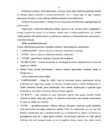 Diplomdarbs 'Uzņēmuma finanšu analīze', 54.