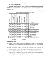 Diplomdarbs 'Uzņēmuma finanšu analīze', 56.